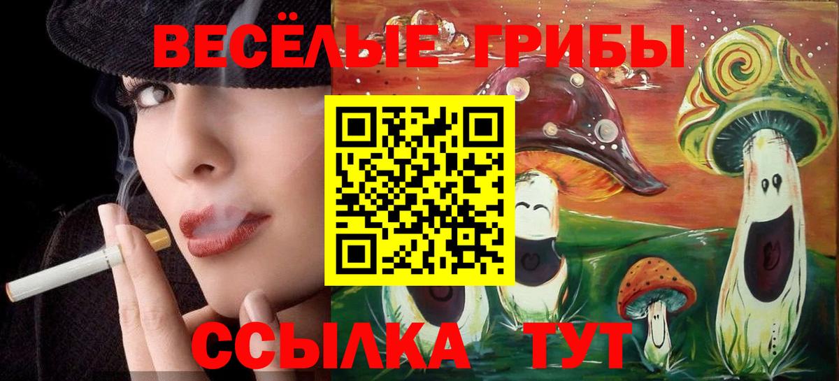 Псилоцибиновые грибы GOLDEN TEACHER Татарск